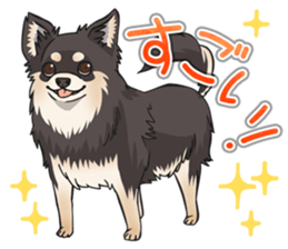 I Love Chihuahua Sticker(Black Tan) sticker #14301200