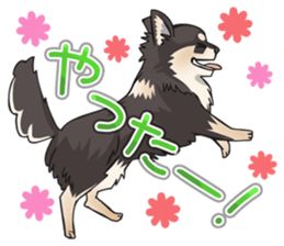 I Love Chihuahua Sticker(Black Tan) sticker #14301201