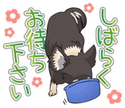 I Love Chihuahua Sticker(Black Tan) sticker #14301202