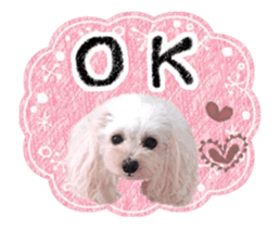 toy poodle "LUNLUN"-movie- English 3 sticker #14303110