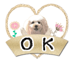 toy poodle "LUNLUN"-movie- English 3 sticker #14303115