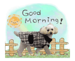 toy poodle "LUNLUN"-movie- English 3 sticker #14303116