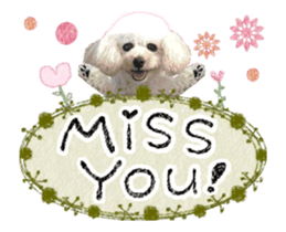 toy poodle "LUNLUN"-movie- English 3 sticker #14303118