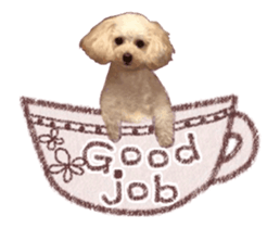 toy poodle "LUNLUN"-movie- English 3 sticker #14303121