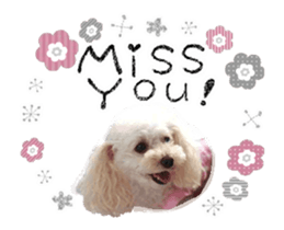 toy poodle "LUNLUN"-movie- English 3 sticker #14303122