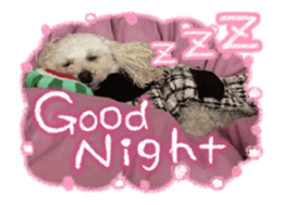 toy poodle "LUNLUN"-movie- English 3 sticker #14303125