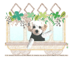 toy poodle "LUNLUN"-movie- English 3 sticker #14303126