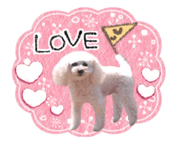 toy poodle "LUNLUN"-movie- English 3 sticker #14303127