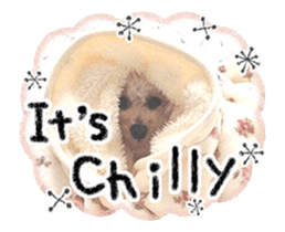 toy poodle "LUNLUN"-movie- English 3 sticker #14303129