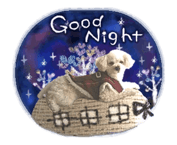 toy poodle "LUNLUN"-movie- English 3 sticker #14303132