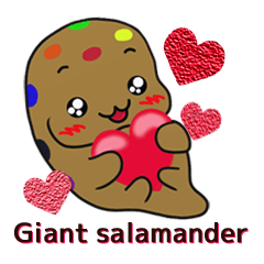 The Japanese giant salamander is Chacha