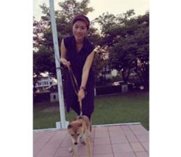 Yo's Life VIII sticker #14305512