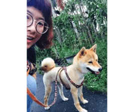 Yo's Life VIII sticker #14305541