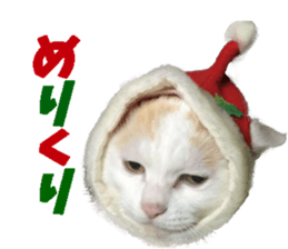 Okada Family Sticker sticker #14305795