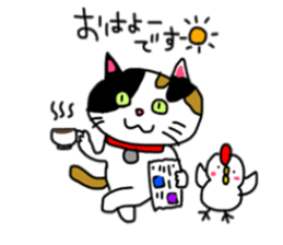 A Tortoiseshell cat. sticker #14305862