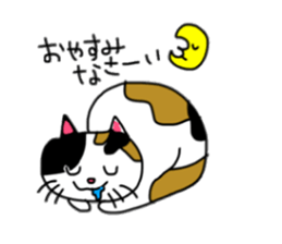 A Tortoiseshell cat. sticker #14305863