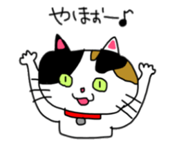 A Tortoiseshell cat. sticker #14305864
