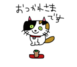 A Tortoiseshell cat. sticker #14305865