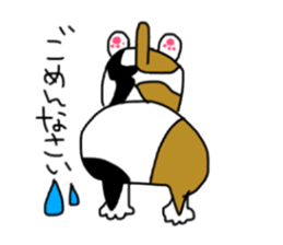 A Tortoiseshell cat. sticker #14305866