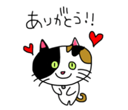 A Tortoiseshell cat. sticker #14305868