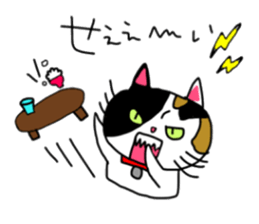 A Tortoiseshell cat. sticker #14305876