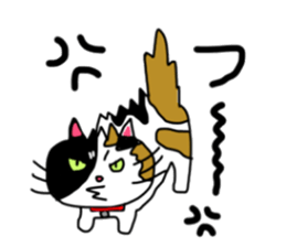 A Tortoiseshell cat. sticker #14305877