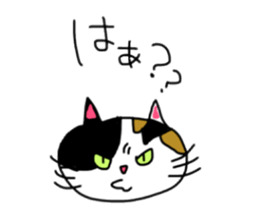 A Tortoiseshell cat. sticker #14305878