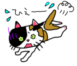 A Tortoiseshell cat. sticker #14305881