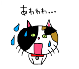 A Tortoiseshell cat. sticker #14305882
