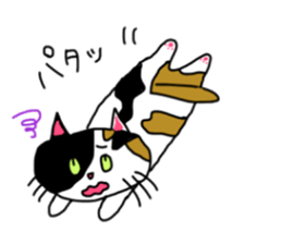 A Tortoiseshell cat. sticker #14305883