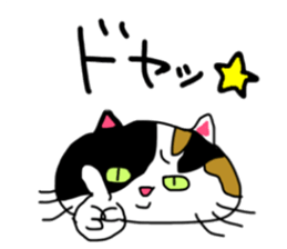 A Tortoiseshell cat. sticker #14305884