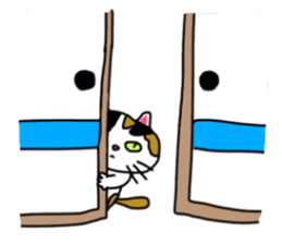 A Tortoiseshell cat. sticker #14305885
