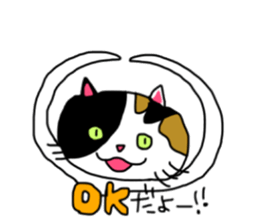 A Tortoiseshell cat. sticker #14305888