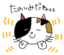 A Tortoiseshell cat. sticker #14305890