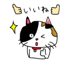 A Tortoiseshell cat. sticker #14305892