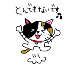 A Tortoiseshell cat. sticker #14305895