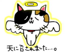 A Tortoiseshell cat. sticker #14305896