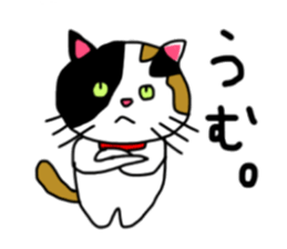 A Tortoiseshell cat. sticker #14305900