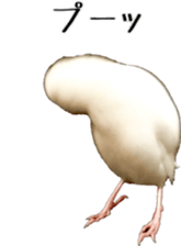 cute bird white sticker #14309449