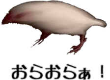 cute bird white sticker #14309454