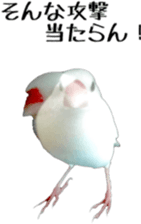 cute bird white sticker #14309456