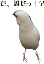 cute bird white sticker #14309457