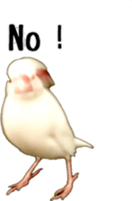 cute bird white sticker #14309461