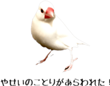 cute bird white sticker #14309465