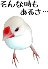 cute bird white sticker #14309466