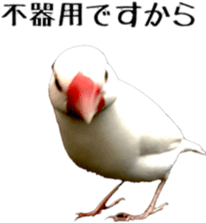 cute bird white sticker #14309468