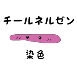 Mycobacterium tuberculosis & DOTS sticker #14310208