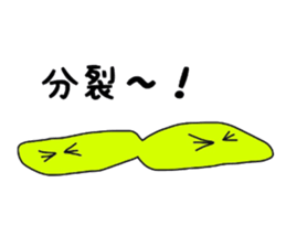 Mycobacterium tuberculosis & DOTS sticker #14310209