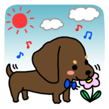 Life of the dachshund sticker #14311863