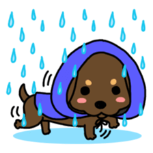 Life of the dachshund sticker #14311885